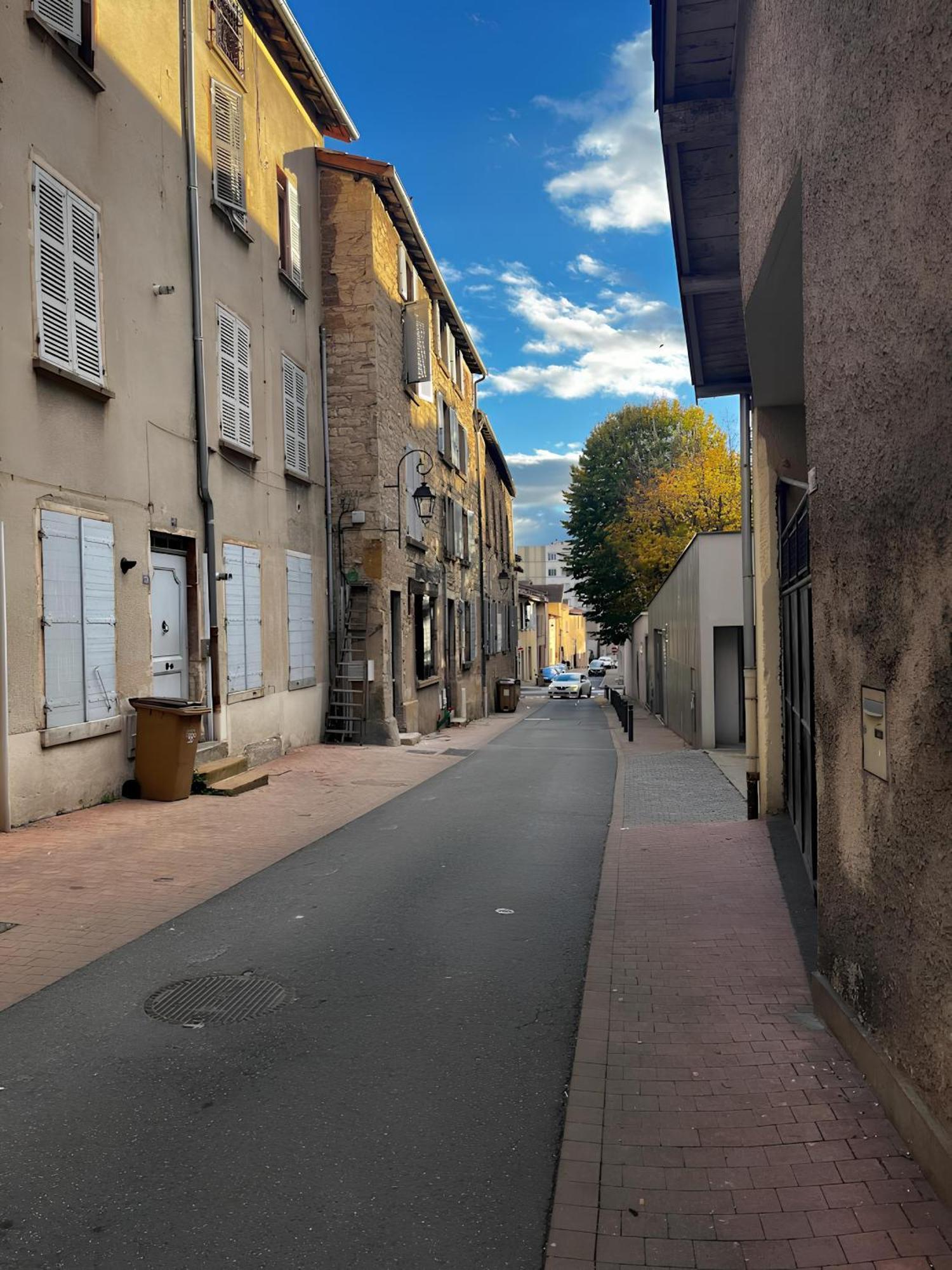 Apartmán Tinyhouse Experience In Beaujolais Villefranche-sur-Saône Exteriér fotografie